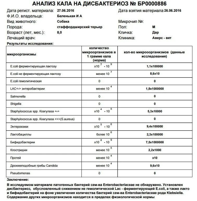 Какой анализ дисбактериоз. Анализ на дисбактериоз кишечника нормы. Анализ кала на дисбактериоз расшифровка у детей. Исследование на дисбактериоз ребенка норма. Анализ кала на дисбактериоз норма.