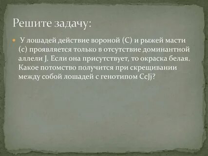 У лошадей действие генов вороной