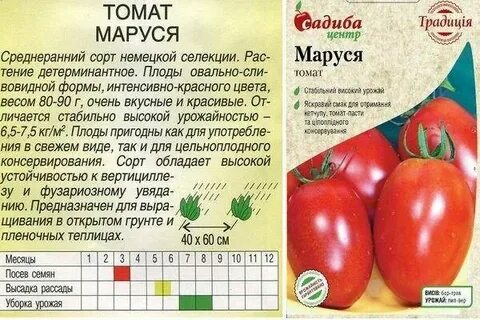 Томат пень характеристика и описание сорта фото