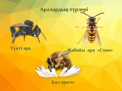 Әкесі кішкентай қызының порносын трахает