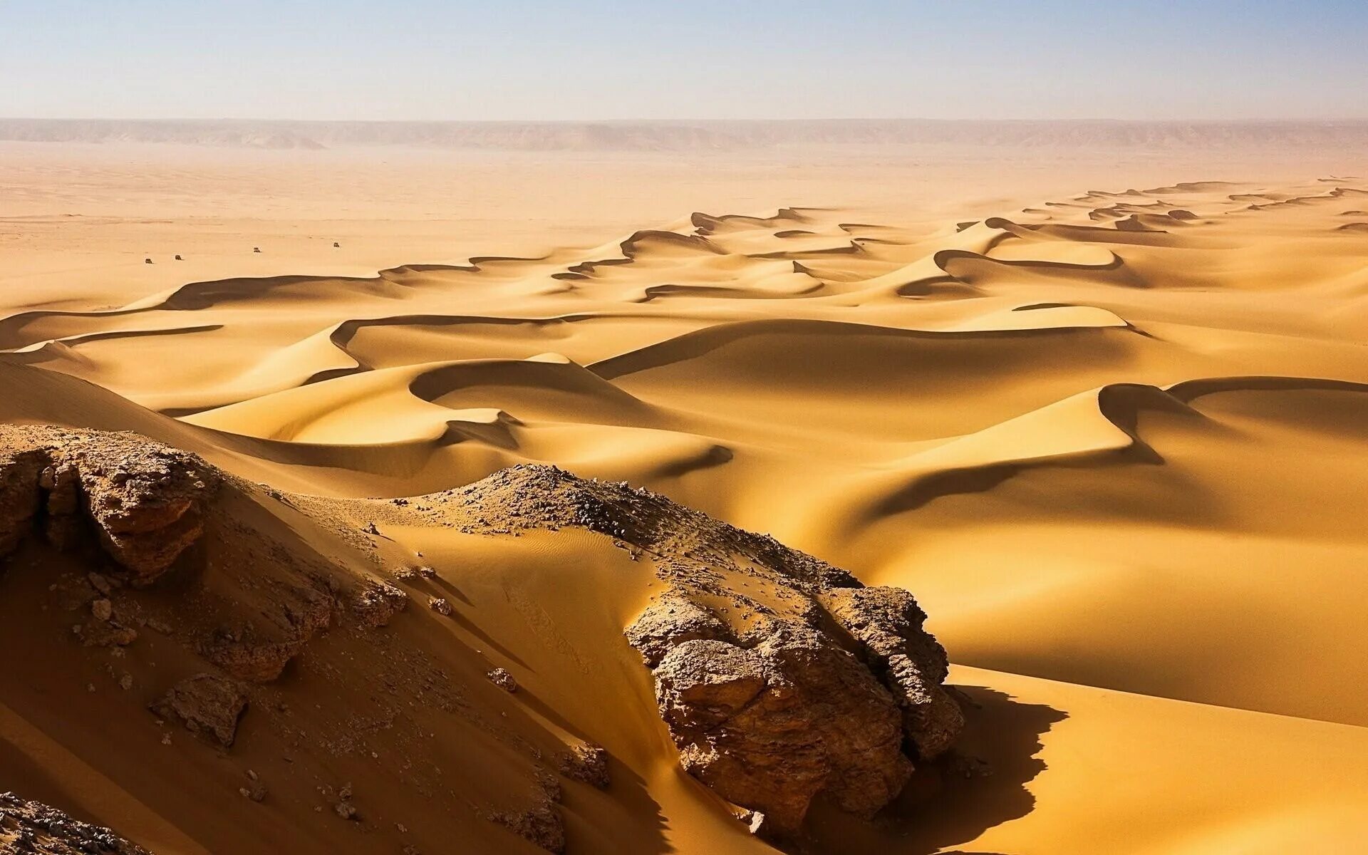 Пустыня Каракум Оазис. Песчаные Барханы Египта. Дюна пустыня. Край пустыни Каракум.
