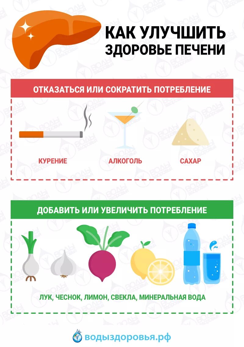 Какие напитки для печени. Продукты для печени. Здоровье печени. Полезно для печени еда. Продукты для здоровой печени.