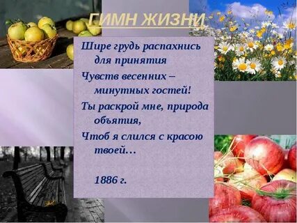 Распахни мне объятья твои густолистый