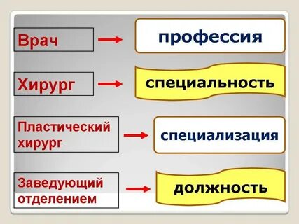 Профессия специальность должность примеры