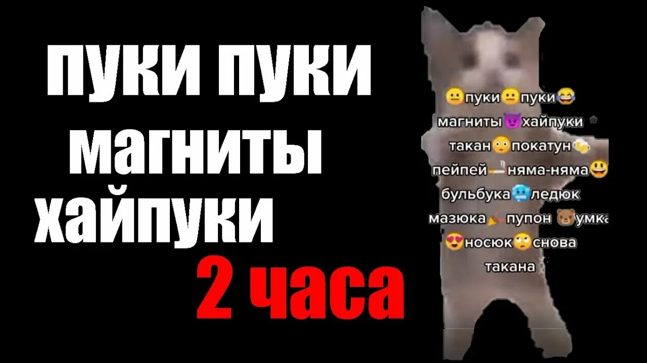 Под пук пук. Пуки пуки магниты хайпуки такан покатун. Хайпуки в магните. Хайпуки Мем. Хайпуки кот танцует.