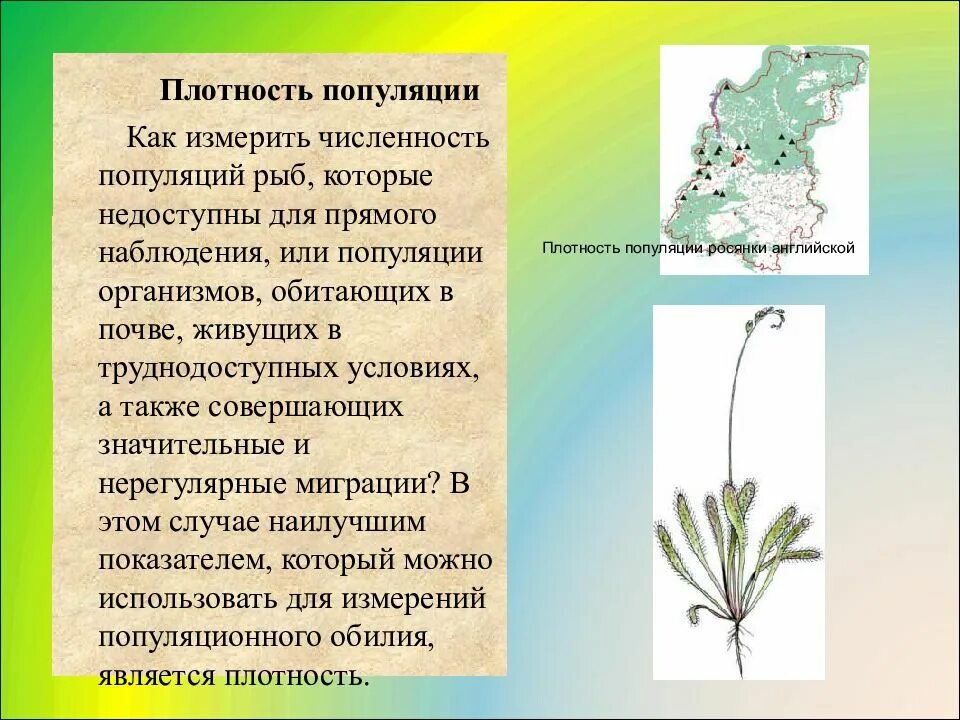 Популяция плотность популяции. Снижение плотности популяции. Плотность популяции. Регуляция численности популяции. Плотность популяции.