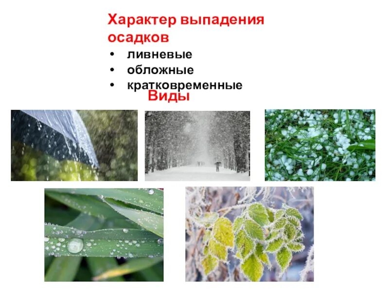 Выпадение осадков. Виды осадков. Виды осадков обложные, ливневые. Виды дождя.