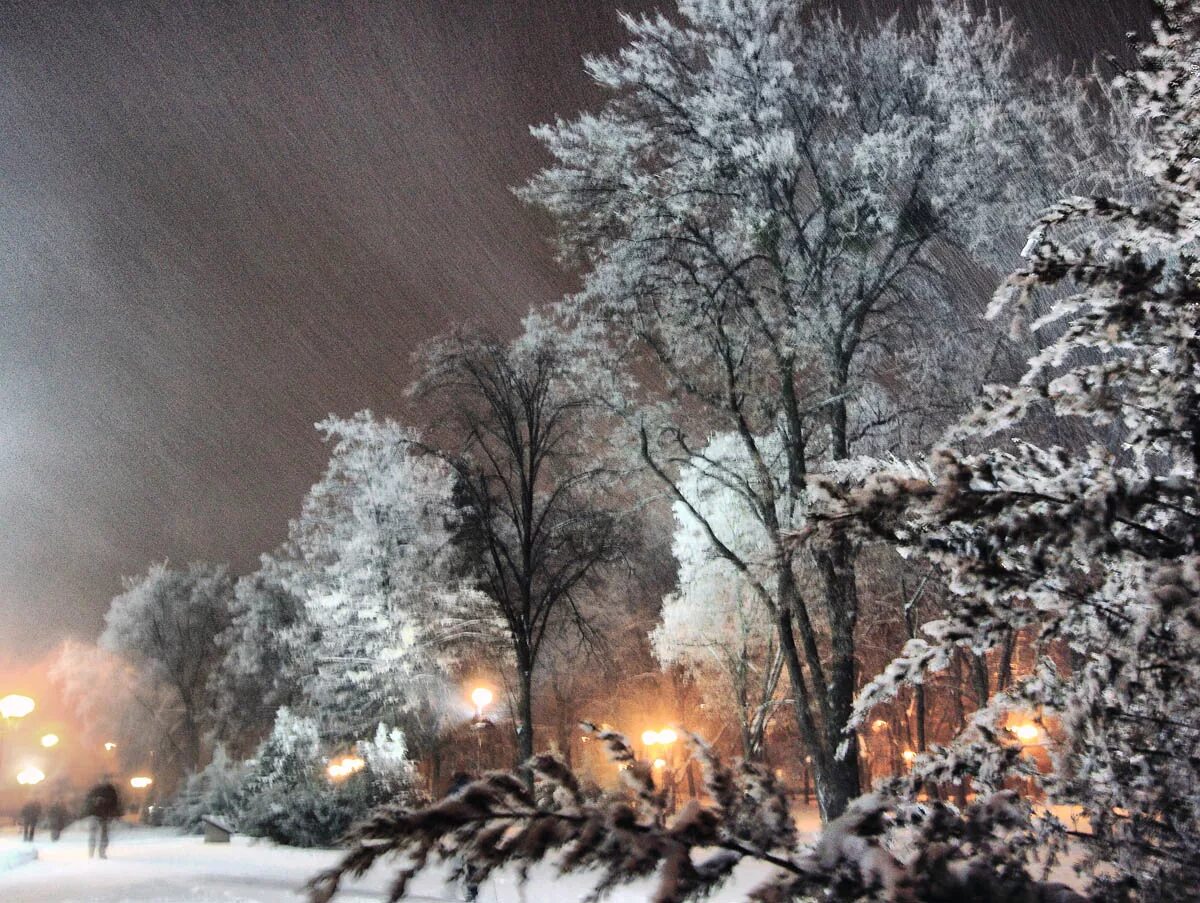 Вечером кружится
