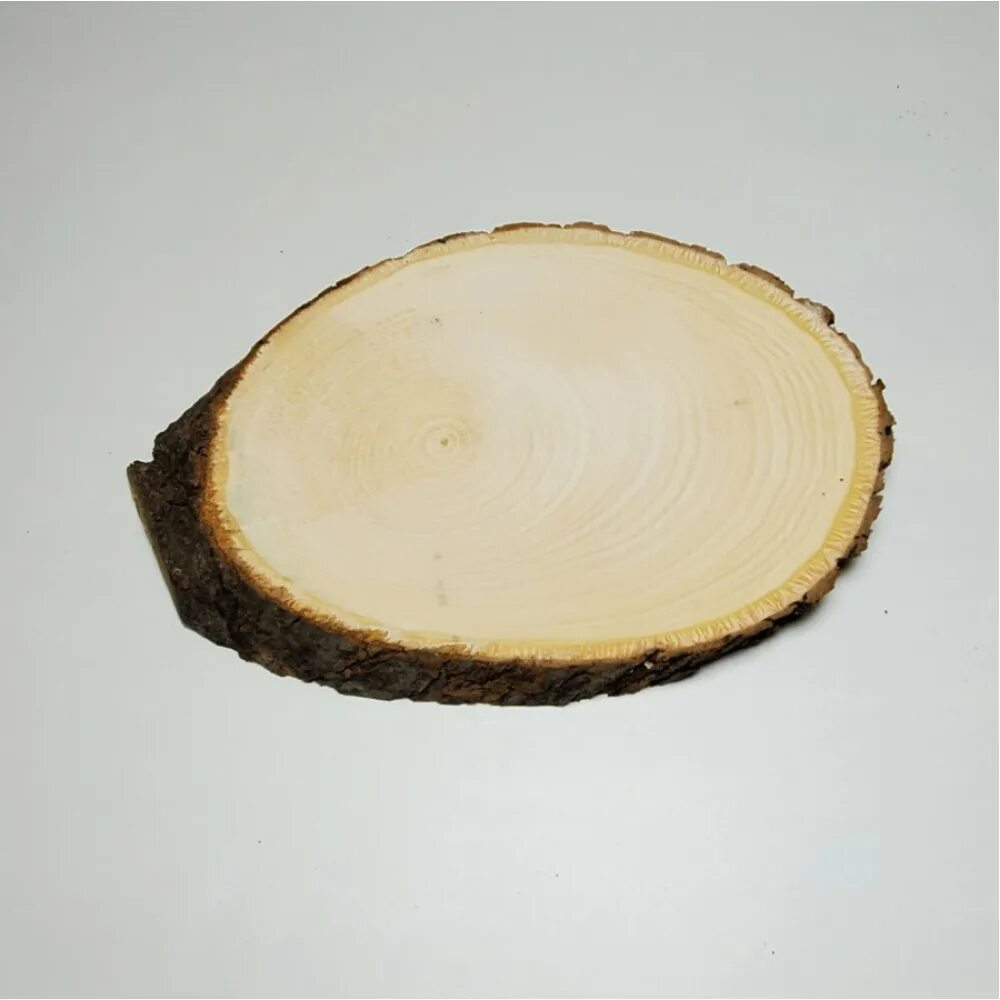 Схема поперечного среза аскариды. Поперечный разрез медицинской пиявки. Спил дерева см 15. Кольчатые черви внутреннее строение поперечный срез. Поперечный срез мышцы.