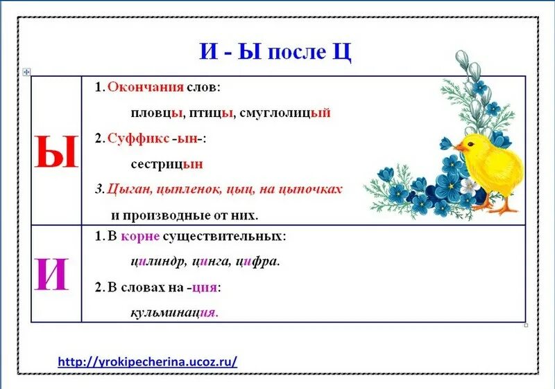 Буква и после ц пишется всегда. Правила написания и после ц. Правило с буквой ц 1 класс. И Ы после ц. Правописание букв и ы после ц.