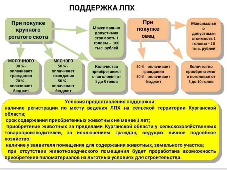 Развитие личного подсобного хозяйства. Ведение личного подсобного хозяйства. Личное подсобное хозяйство (ЛПХ). Программа развития личного подсобного хозяйства.