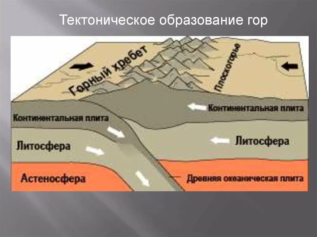 Почему образовались горы. Литосферная плита океаническая и Континентальная. Тектоника плит. Континентальная литосферная плита это. Коллизия литосферных плит.