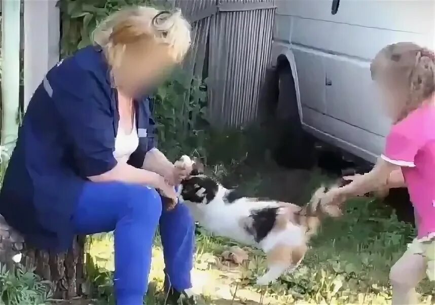 Издеваются над старой женщиной. Дети издеваются над котенком. котята над которыми издевались. издевательство над утятами.