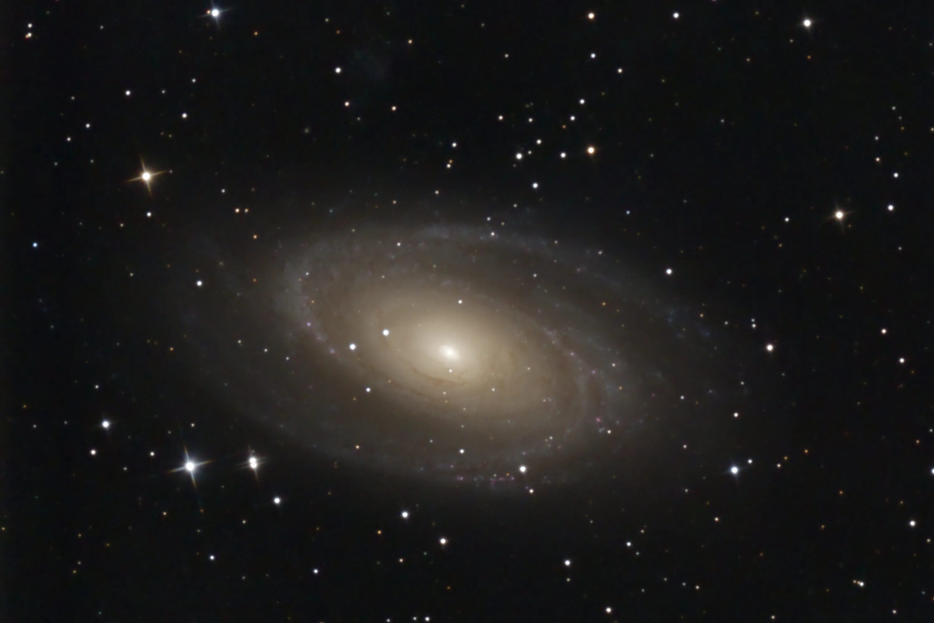 Галактика сигара. Galaxy m81. m81 галактика. m81. ngc 1579.