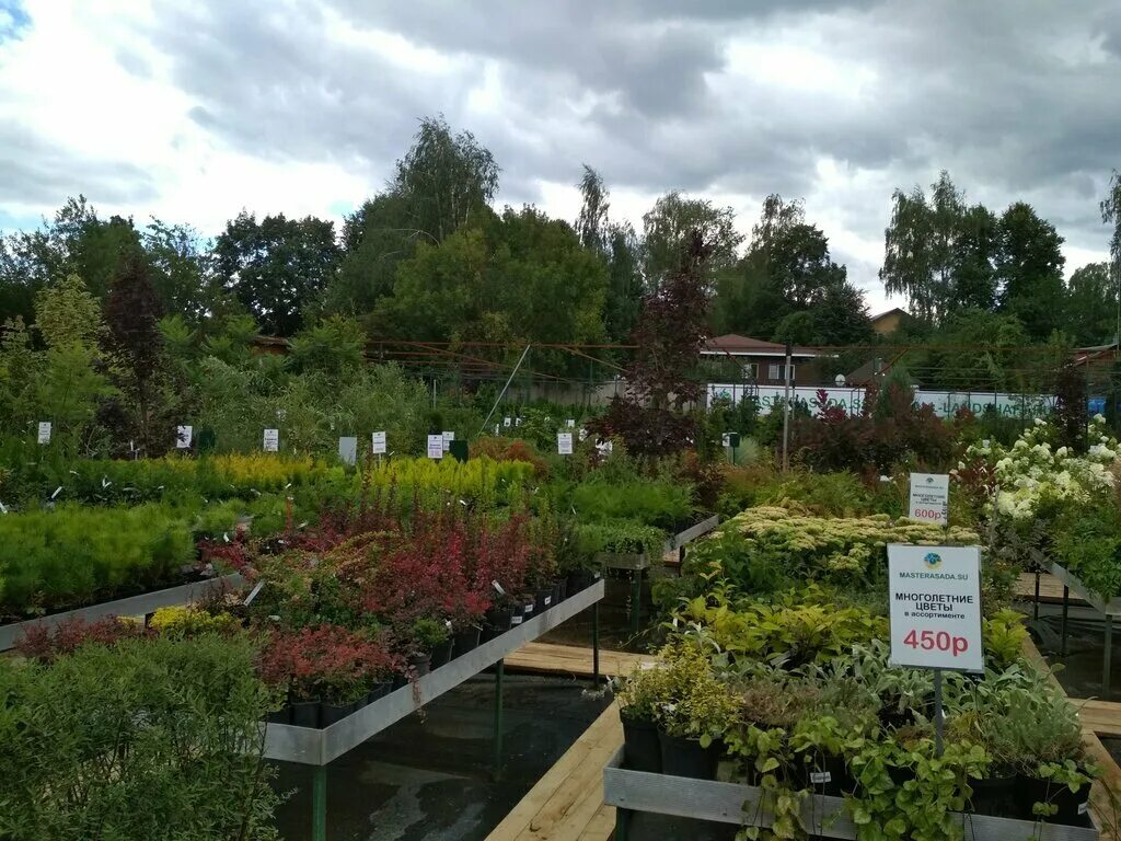 мастера сада логотип. мастера сада дмитров. садовый мастер услуги. мастер садов отзывы. мастера сада, яхрома.