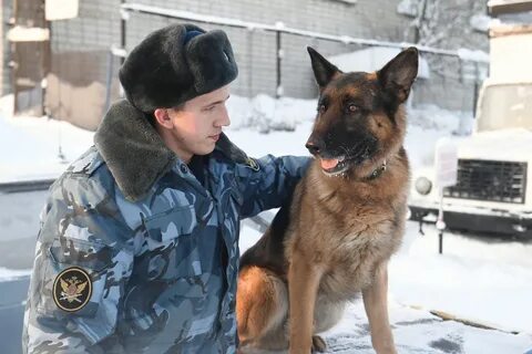 Под конвоем