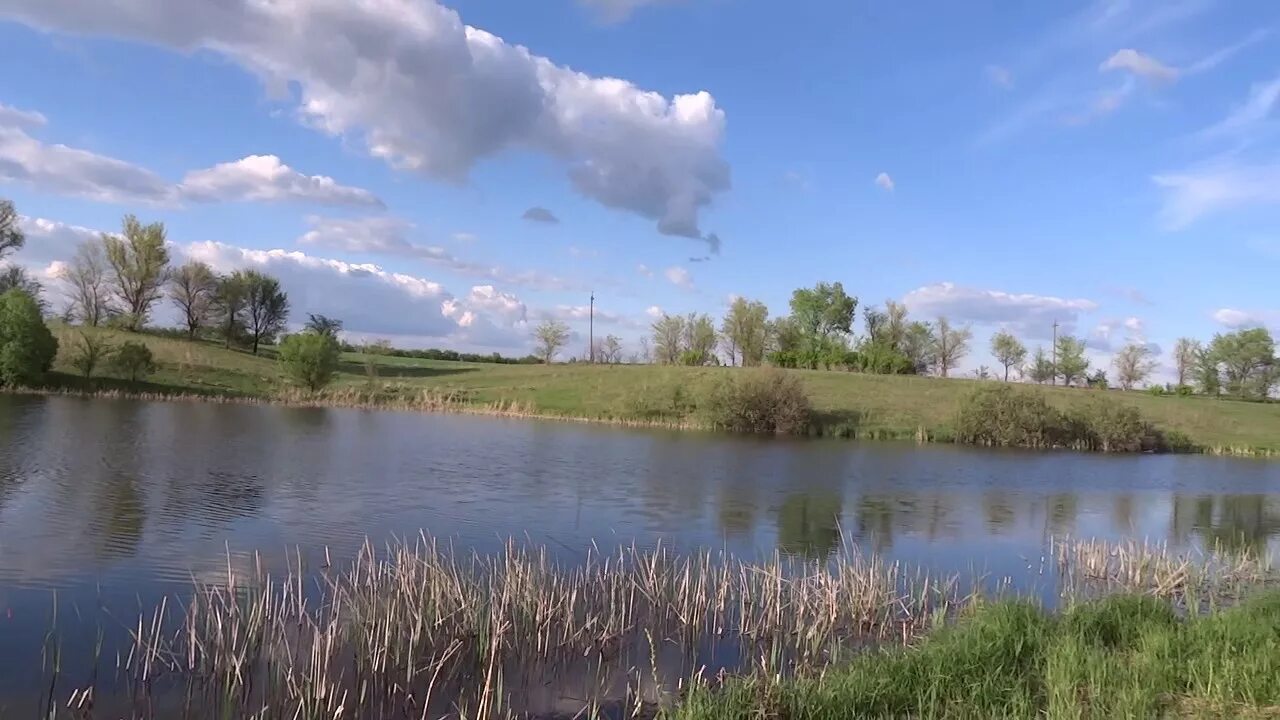 Родниковая балка тамбовская область. Пруд масловка тамбовская область. Дубовое пруд. Липецкая. Платное озеро тольятти.