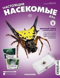 Настоящие насекомые