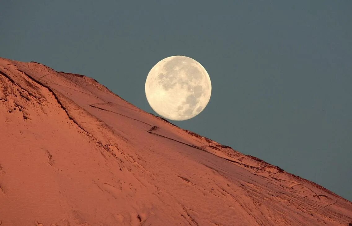Какое животное облетело луну. Луна в ОАЭ. Луна в ОАЭ фото. Полная Луна на Аравийском полуострове. Луна в Эмиратах перевернута.