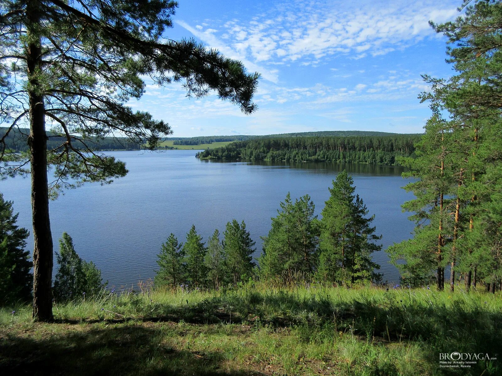 Домики на берегу двуреченск. Двуреченск мост. Река исеть двуреченск. Двуреченск. Двуреченск город.