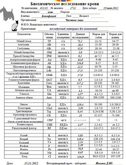 Биохимия крови обозначения расшифровка