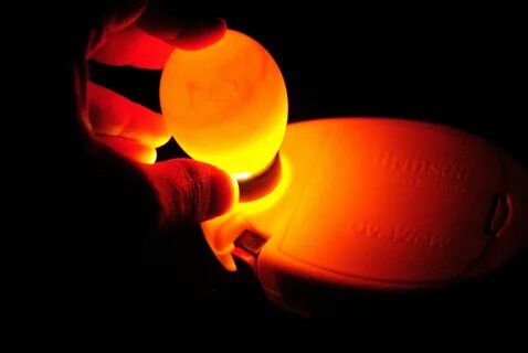 Your egg