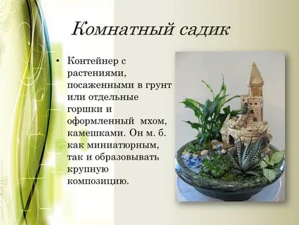 Комнатный тема