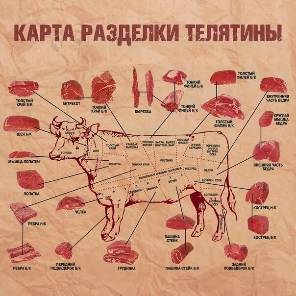 Как называется разделка туши. Схема разруба туши телятина. классическая схема разруба бараньей туши. разделка туши свинины схема. название частей туши.