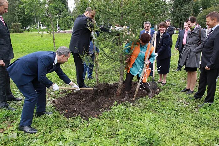 Госпиталь ярославль врачи. Госпиталь ветеранов Ярославль. Госпиталь парк Ярославль. Парк ветеранов ВОВ Ярославль. Ярославский госпиталь ветеранов войны.