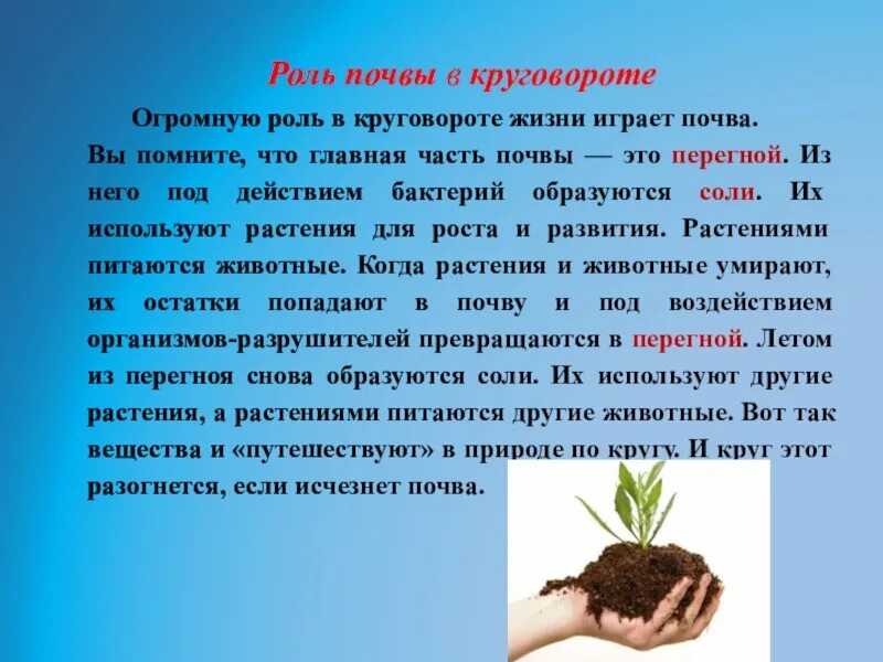 Роль почвы. Роль круговорота жизни. роль почвы в жизни. главная часть почвы.