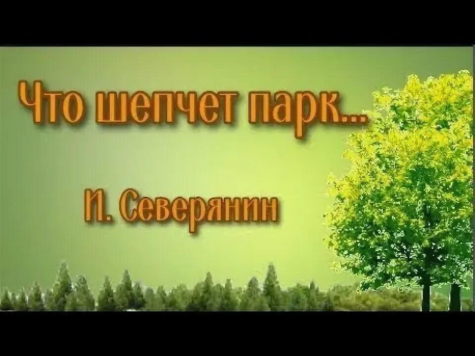 Что шепчет парк северянин главные герои. Что шепчет парк северянин. Стихи поэтов серебряного века. Прогулка в осеннем парке. Стихи про осень поэтов серебряного века.