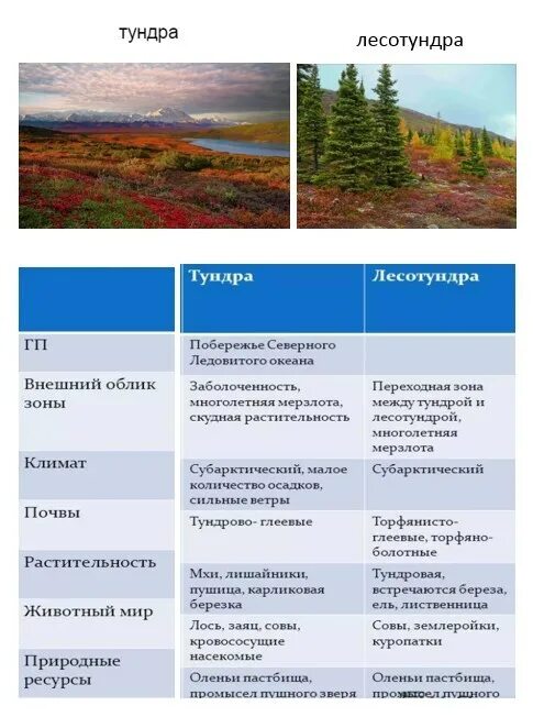 Лесотундра особенности природной зоны. Природные зоны России таблица тундра и лесотундра. Природные зоны России характеристика таблица лесотундра. Таблица природные зоны арктические пустыни тундра лесотундра. Природные зоны тундры и лесотундры.