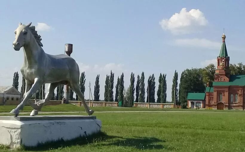 Село Хреновое Бобровского района Воронежской области. Бобровский район Хреновое Хреновое Воронежская область. Хреновской конезавод. Хреновое Воронежская область конезавод. Село хреновое бобровского