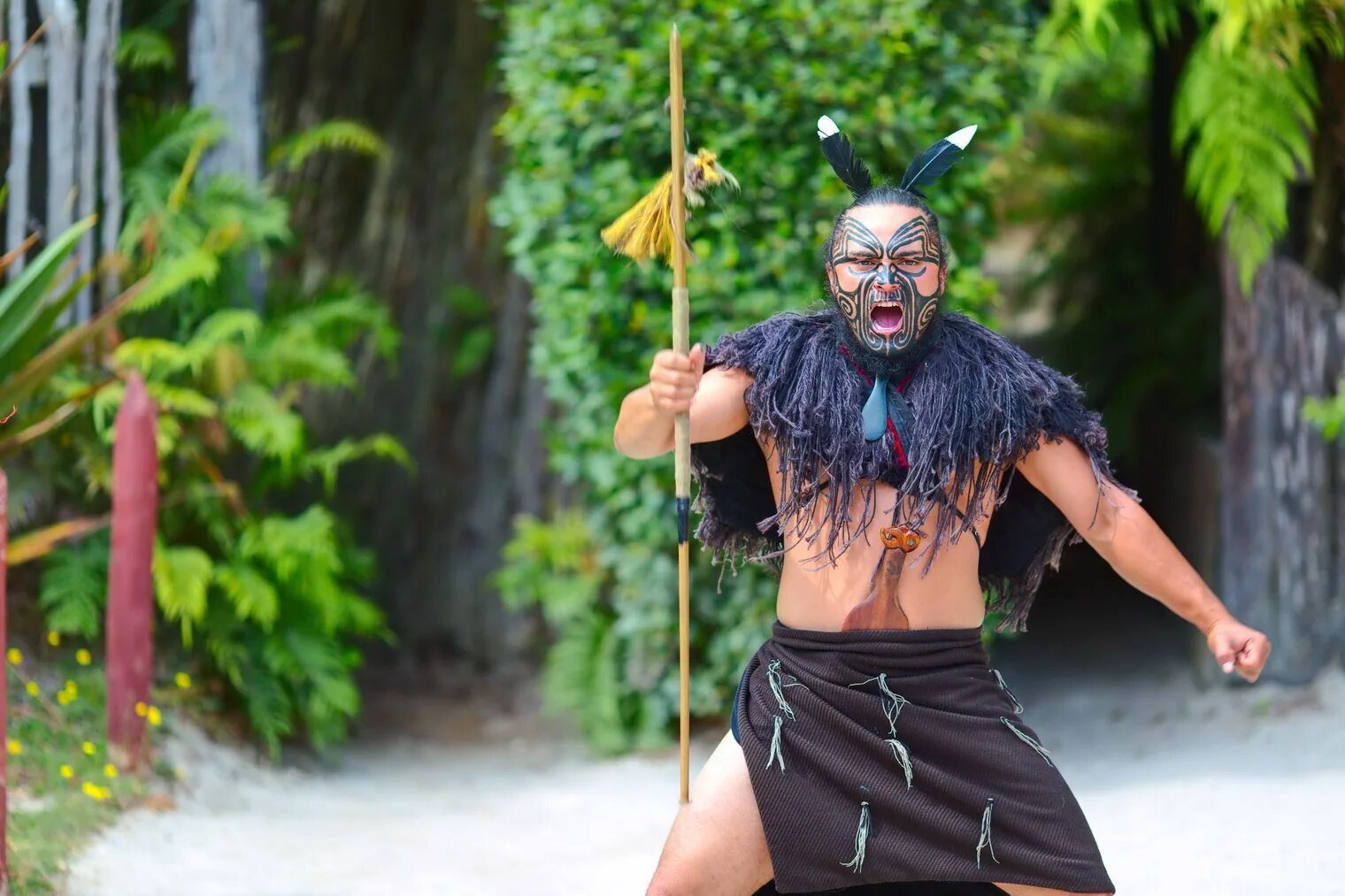 Как называется коренной народ новой зеландии. Maori племя. племя маори в новой зеландии. майори новая зеландия. воины племени майори.