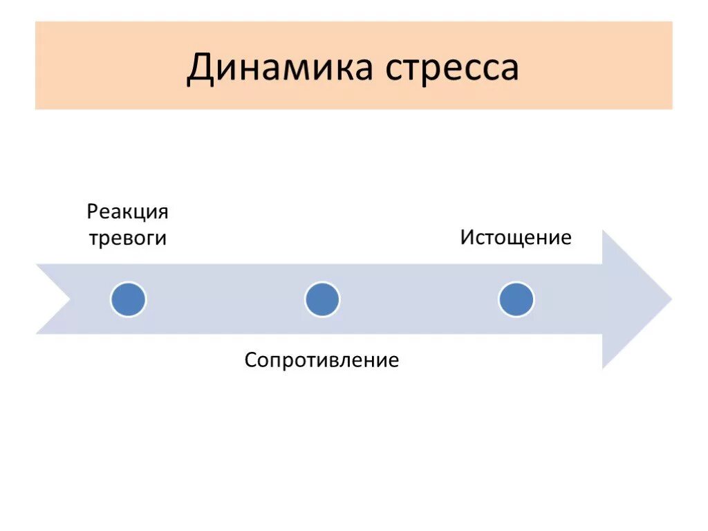 Динамика стресса. Динамика стрессового реагирования. Динамика эустресса. Динамика тревоги.