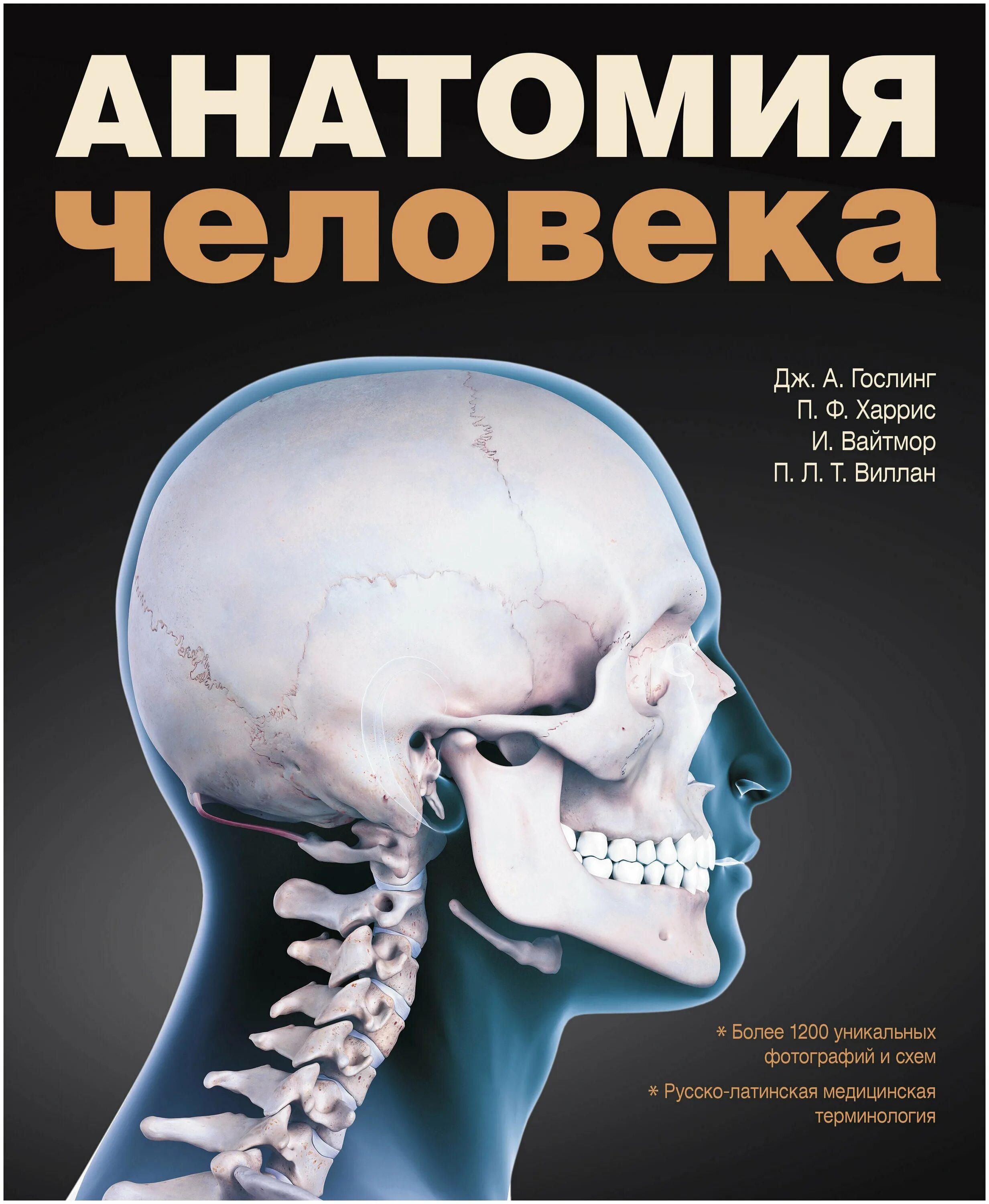 Анатомия книги атласы. Атлас Гослинг Харрис. Атлас анатомии человека. Анатомический атлас человека. Анатомия человека книга.