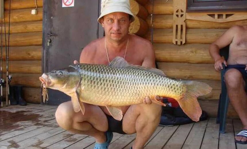 Рыбалка воронеж 36. Рыбалка и отдых воронеж. Река дон воронеж рыбалка. Рыбалка и отдых воронеж. Рыбалка и отдых воронеж.