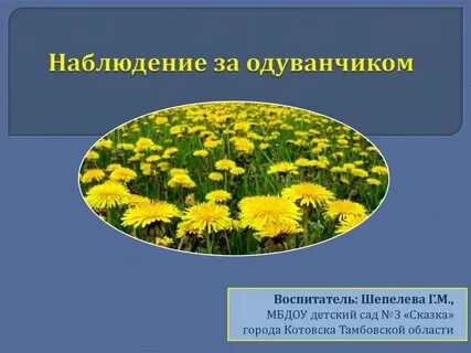 Цикл наблюдений