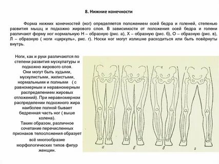 Развитие верхней и нижней конечности