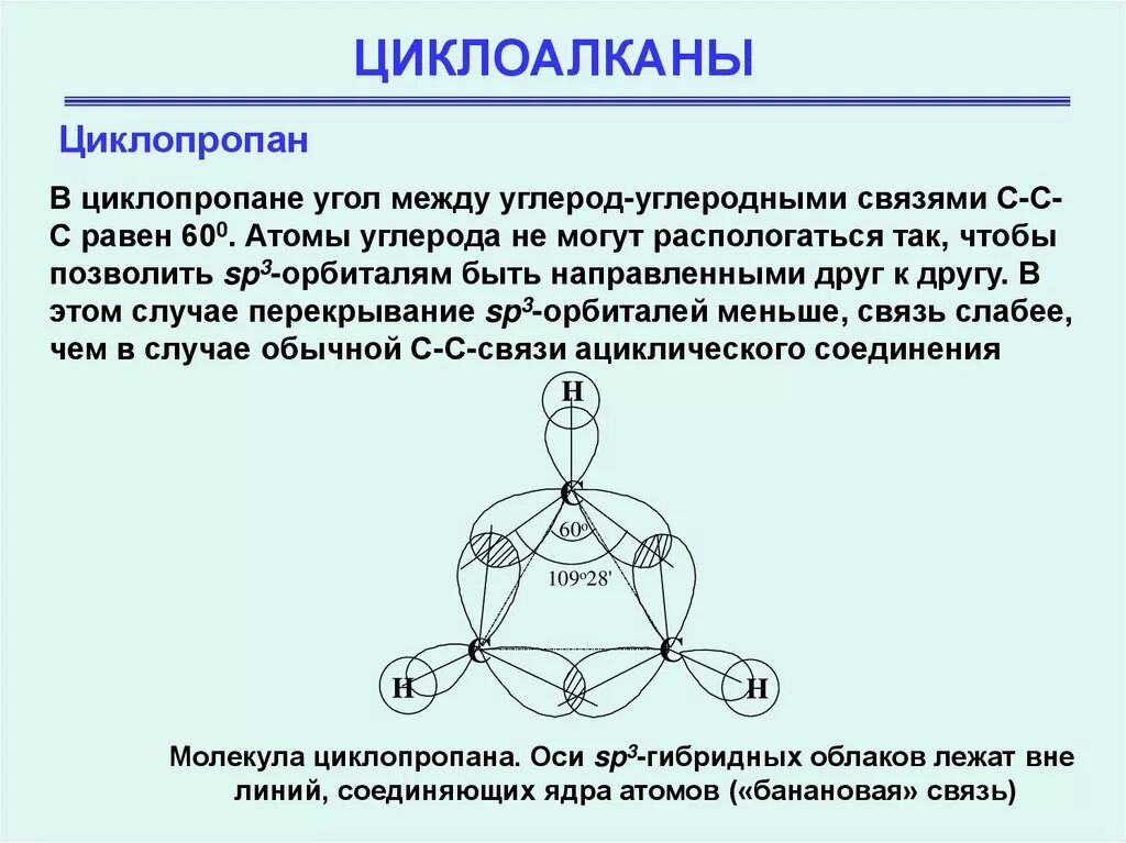 Углерод какая связь. Строение молекулы циклоалканов. Циклоалканы электронное строение. Циклопентан Тип гибридизации. Циклоалканы связь между атомами углерода.