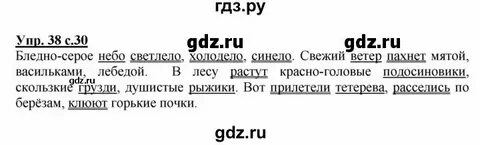 Русский язык 4 с 38