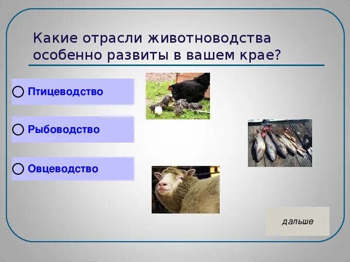 Животноводство презентация. Презентация по животноводству. Отрасли животноводства. Презентация отрасли животноводства.