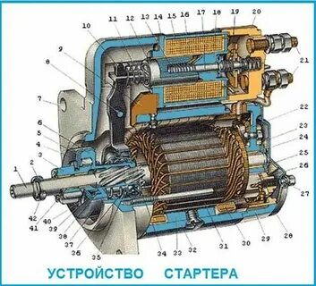 Как устроен ее