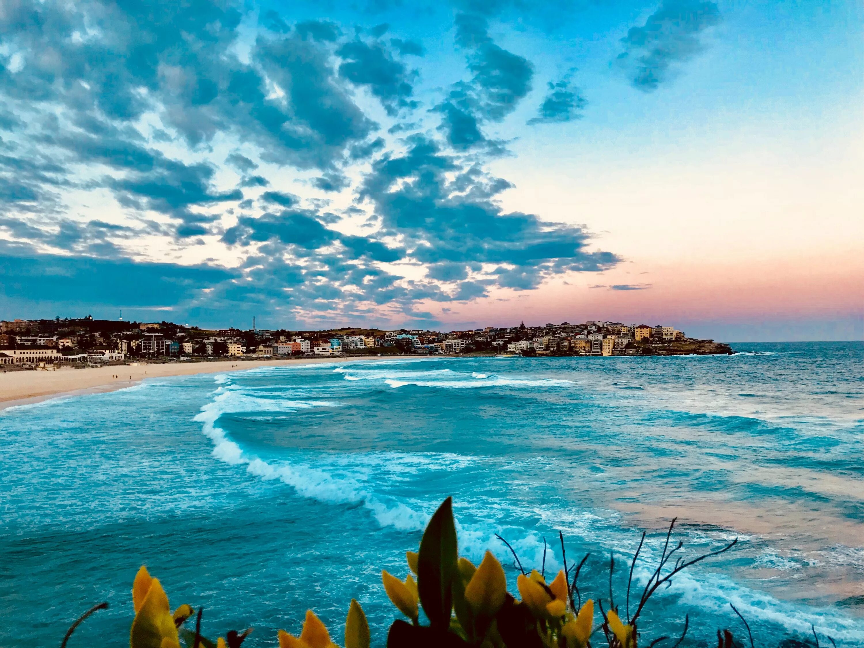 Australian beach. Бонди Бич Австралия. Бонди Бич Сидней Австралия. Пляж Бондай Сидней. Сидней пляж Бонди Бич.