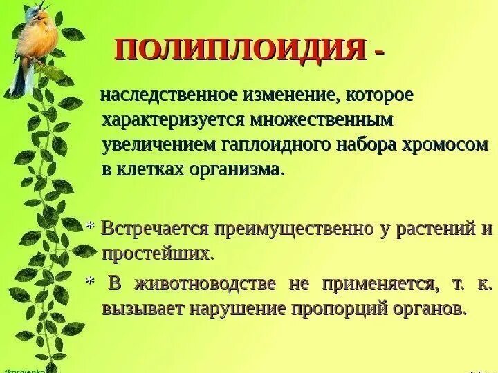 Полиплоидия наследственное изменение которое ха. Причины возникновения полиплоидии. Полиплоидия у растений. Генетические основы селекции организмов. Полиплоидия является результатом