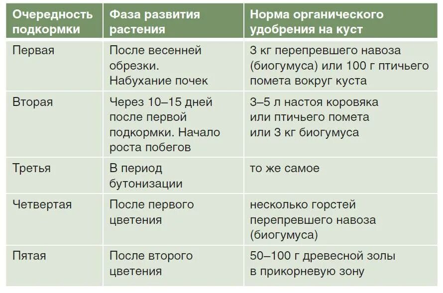 Какое удобрение надо вносить. Таблица внесения удобрений для роз. Схема подкормки роз весной. Схема внесения удобрений для роз. Таблица подкормки и обработки роз.