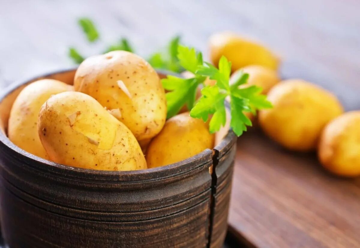 Potatoes picture. Картофель. Картофель красивый. Картошка картинка. Картевел.