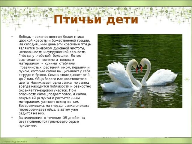 музыка детская лебедь. музыка детская лебедь. камиль сен санс лебедь. лебедь белая текст. лебединое озеро чайковский иллюстрации.