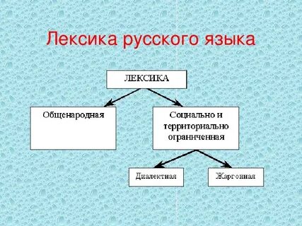 Лексика составить вопрос