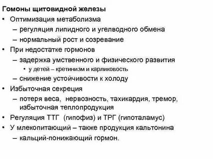 Щитовидная железа регулирует уровень обмена веществ